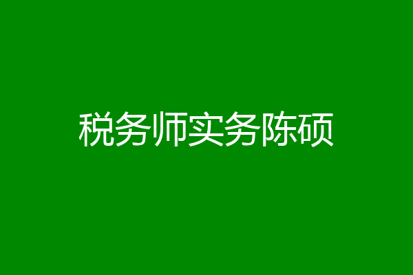 税务师实务陈硕
