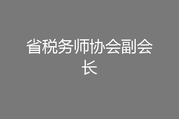 省税务师协会副会长