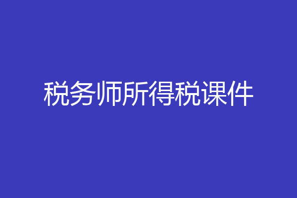 税务师所得税课件