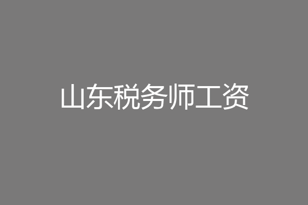 山东税务师工资