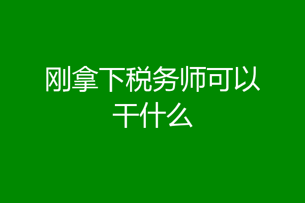 刚拿下税务师可以干什么