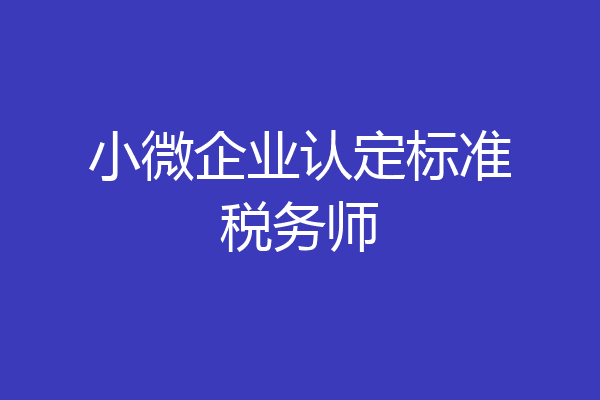 小微企业认定标准税务师