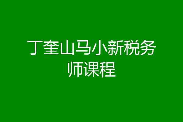 丁奎山马小新税务师课程