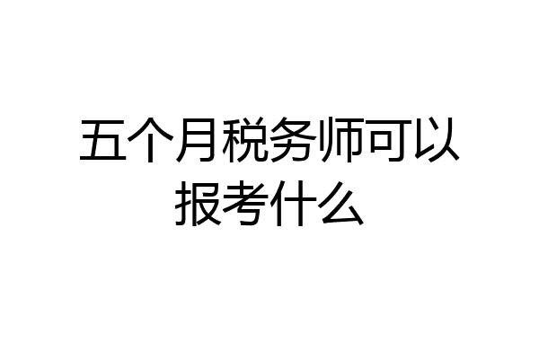 五个月税务师可以报考什么