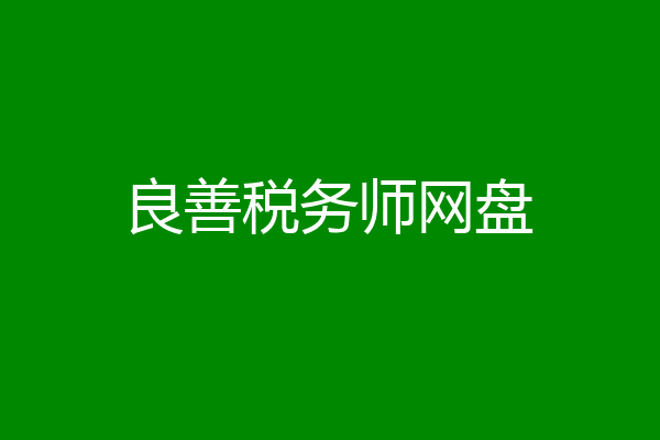 良善税务师网盘