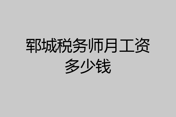 郓城税务师月工资多少钱