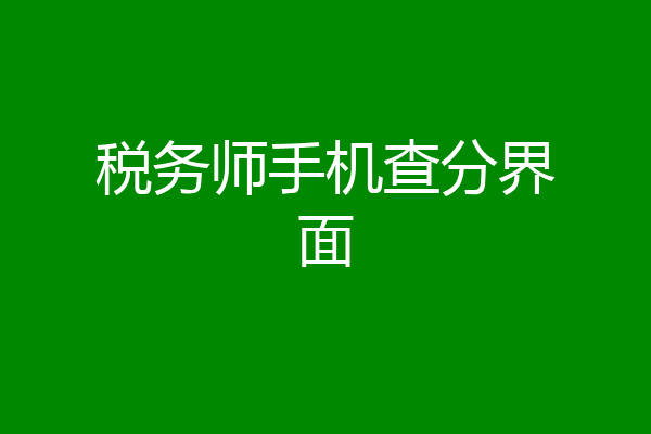 税务师手机查分界面
