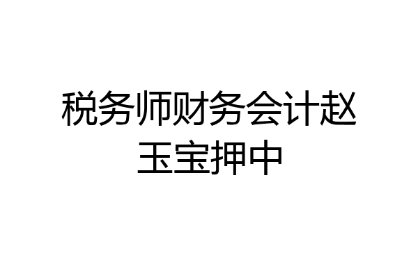 税务师财务会计赵玉宝押中