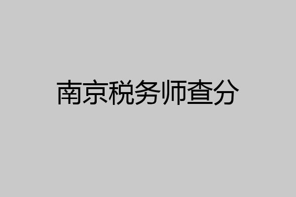 南京税务师查分