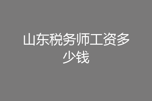 山东税务师工资多少钱