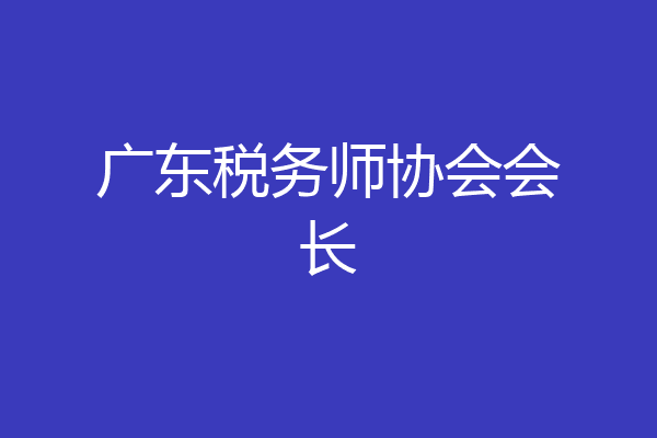 广东税务师协会会长