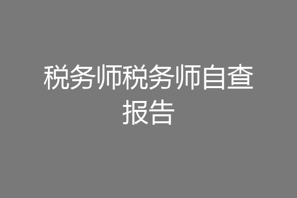 税务师税务师自查报告