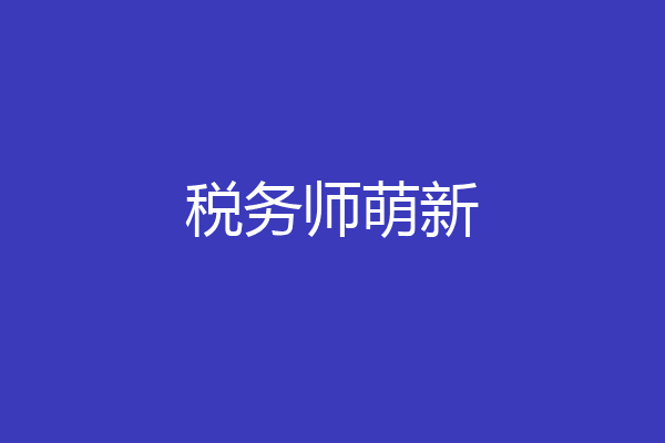 税务师萌新