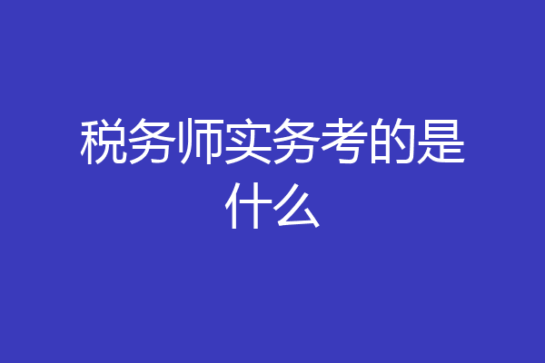税务师实务考的是什么