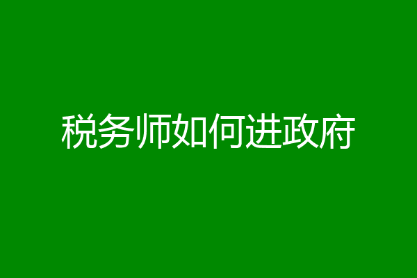 税务师如何进政府
