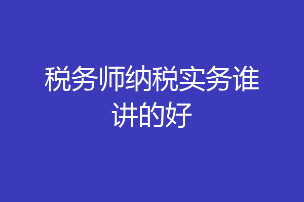 税务师纳税实务谁讲的好