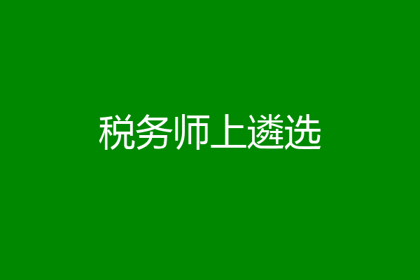 税务师上遴选