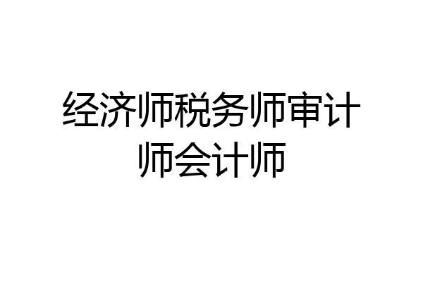 经济师税务师审计师会计师