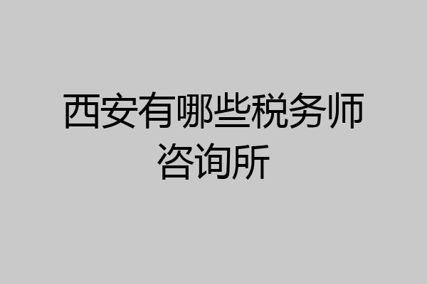 西安有哪些税务师咨询所