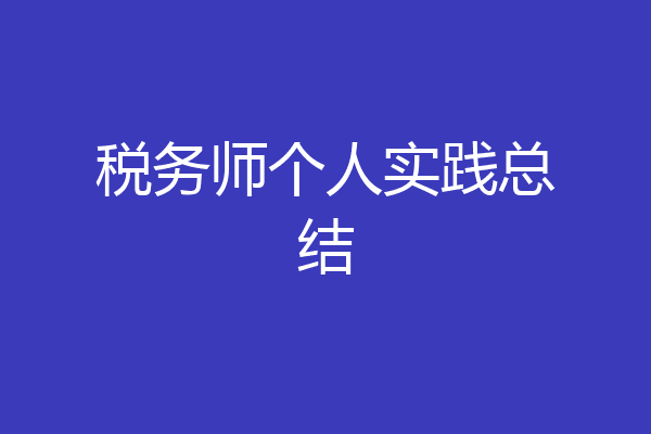 税务师个人实践总结