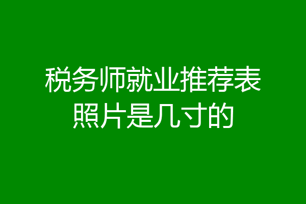 税务师就业推荐表照片是几寸的