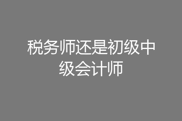 税务师还是初级中级会计师