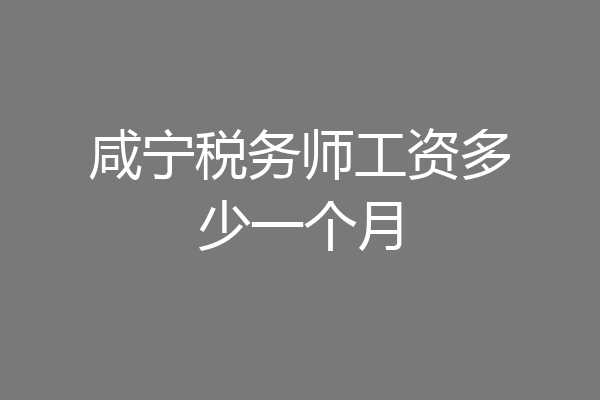 咸宁税务师工资多少一个月