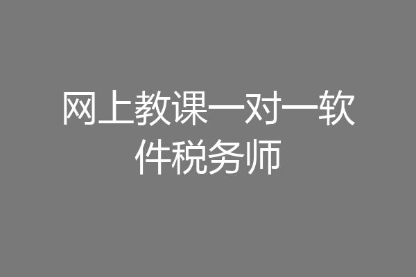 网上教课一对一软件税务师