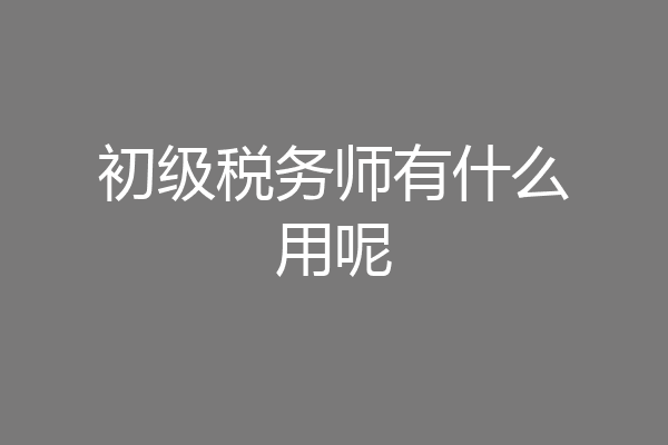 初级税务师有什么用呢
