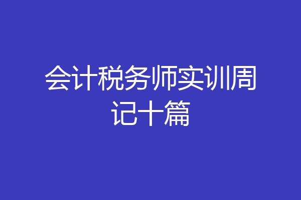 会计税务师实训周记十篇