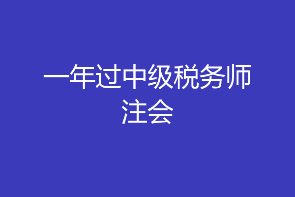 一年过中级税务师注会
