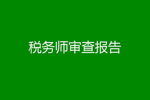 税务师审查报告