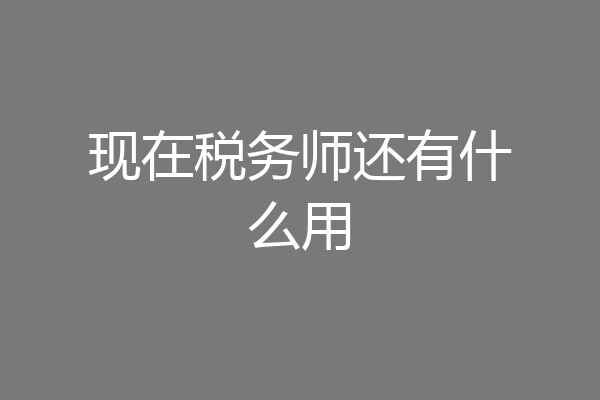 现在税务师还有什么用