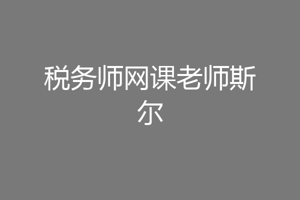 税务师网课老师斯尔