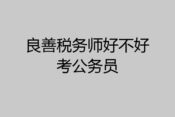 良善税务师好不好考公务员