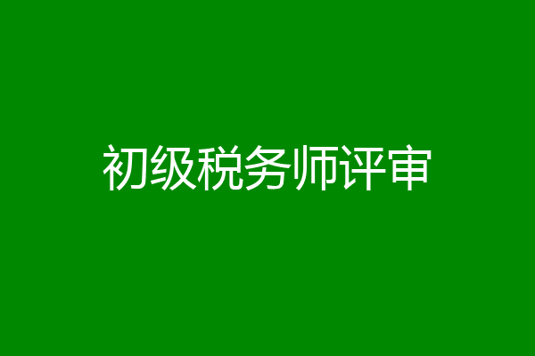 初级税务师评审