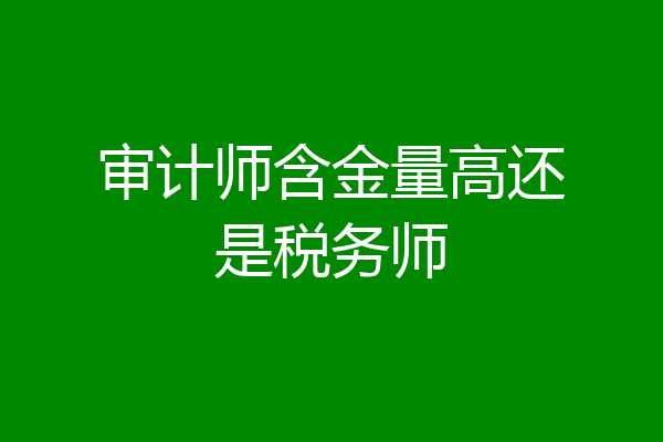 审计师含金量高还是税务师