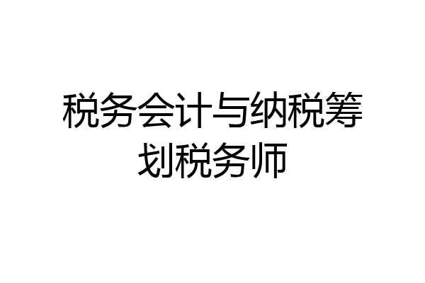 税务会计与纳税筹划税务师