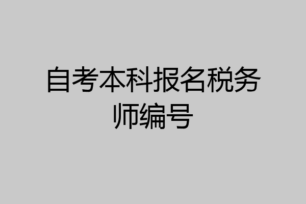 自考本科报名税务师编号