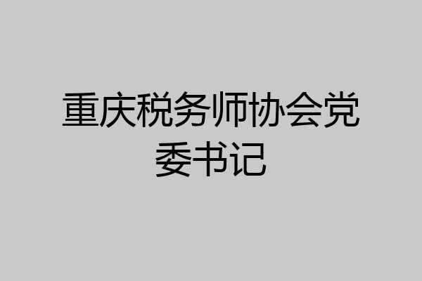 重庆税务师协会党委书记