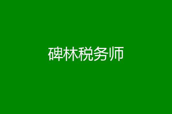 碑林税务师