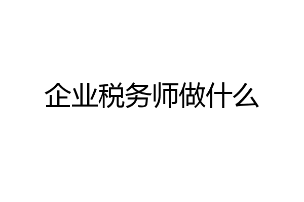 企业税务师做什么