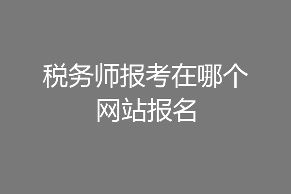 税务师报考在哪个网站报名