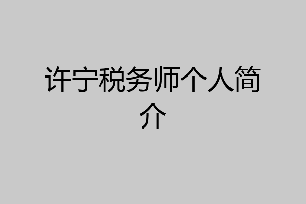 许宁税务师个人简介