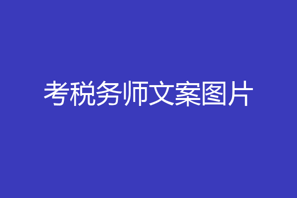 考税务师文案图片
