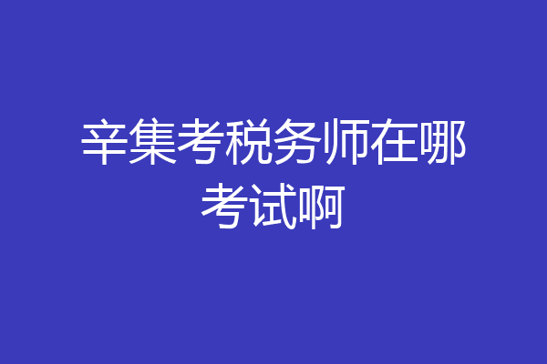 辛集考税务师在哪考试啊