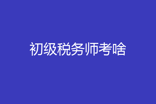 初级税务师考啥