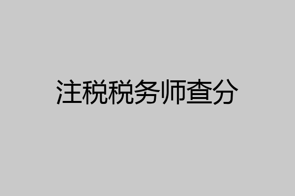 注税税务师查分