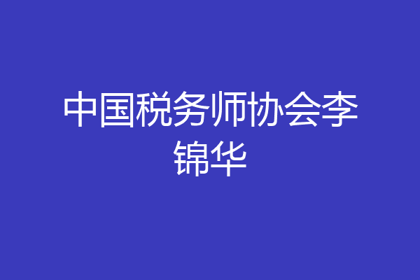 中国税务师协会李锦华