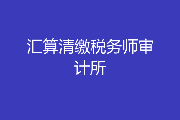 汇算清缴税务师审计所